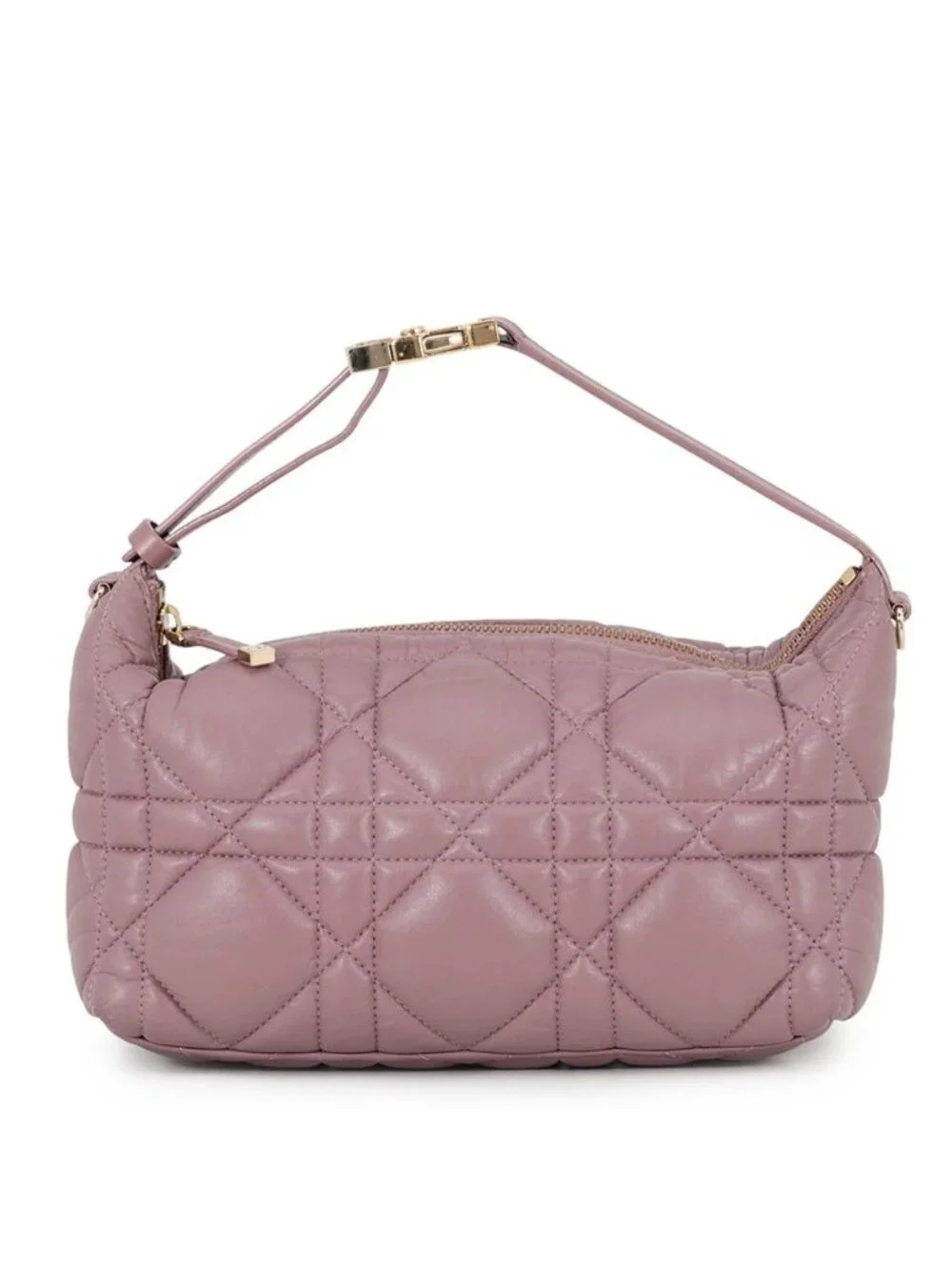 Dior Handbag Travel Nomad Pouch Calf Leather Omig